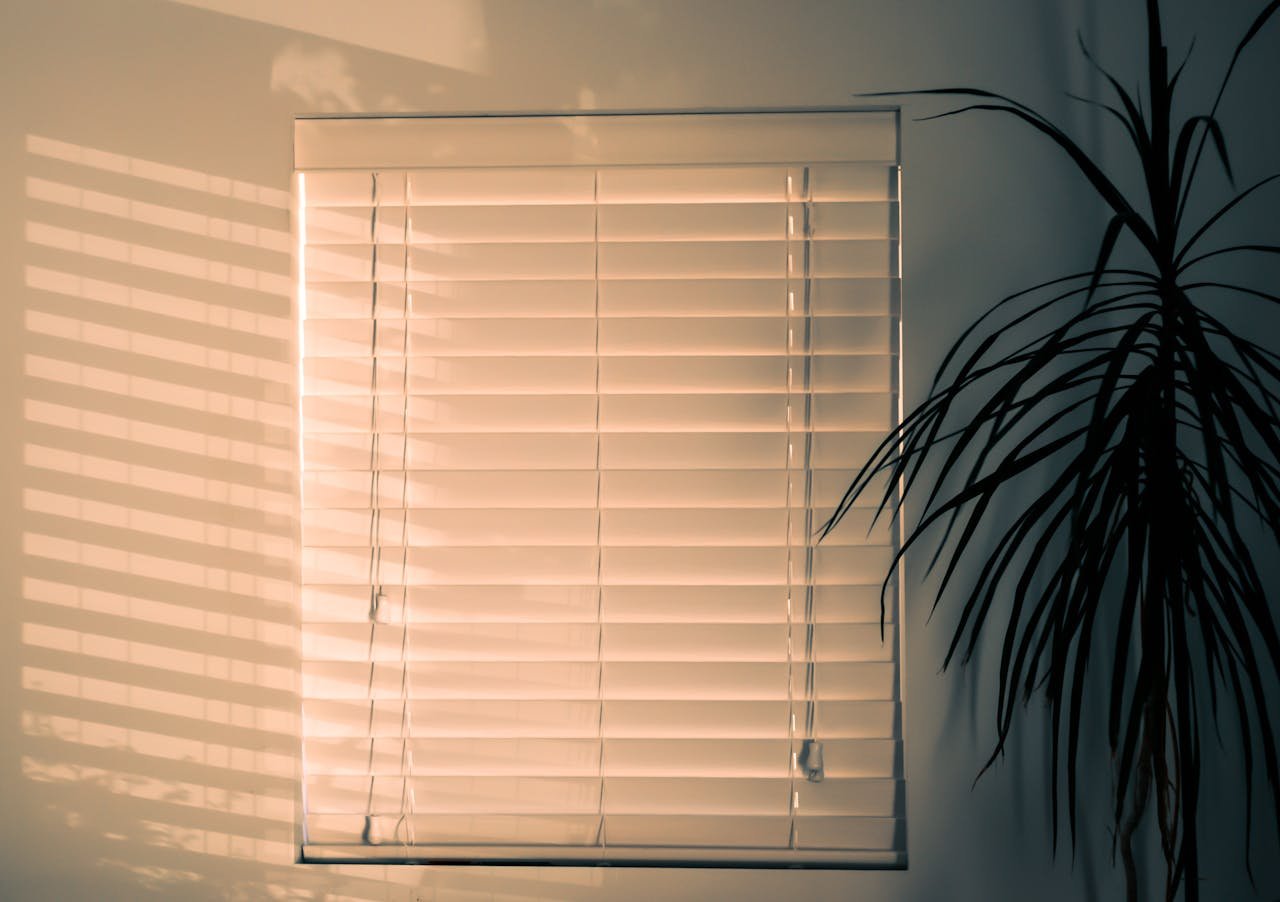 A serene interior with window blinds casting shadows on the wall and a potted plant nearby.